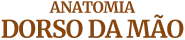 logo_02